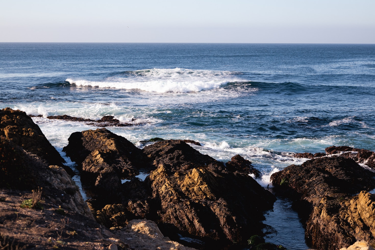 Nature’s Healing Touch: Resilience on the Shoreline
